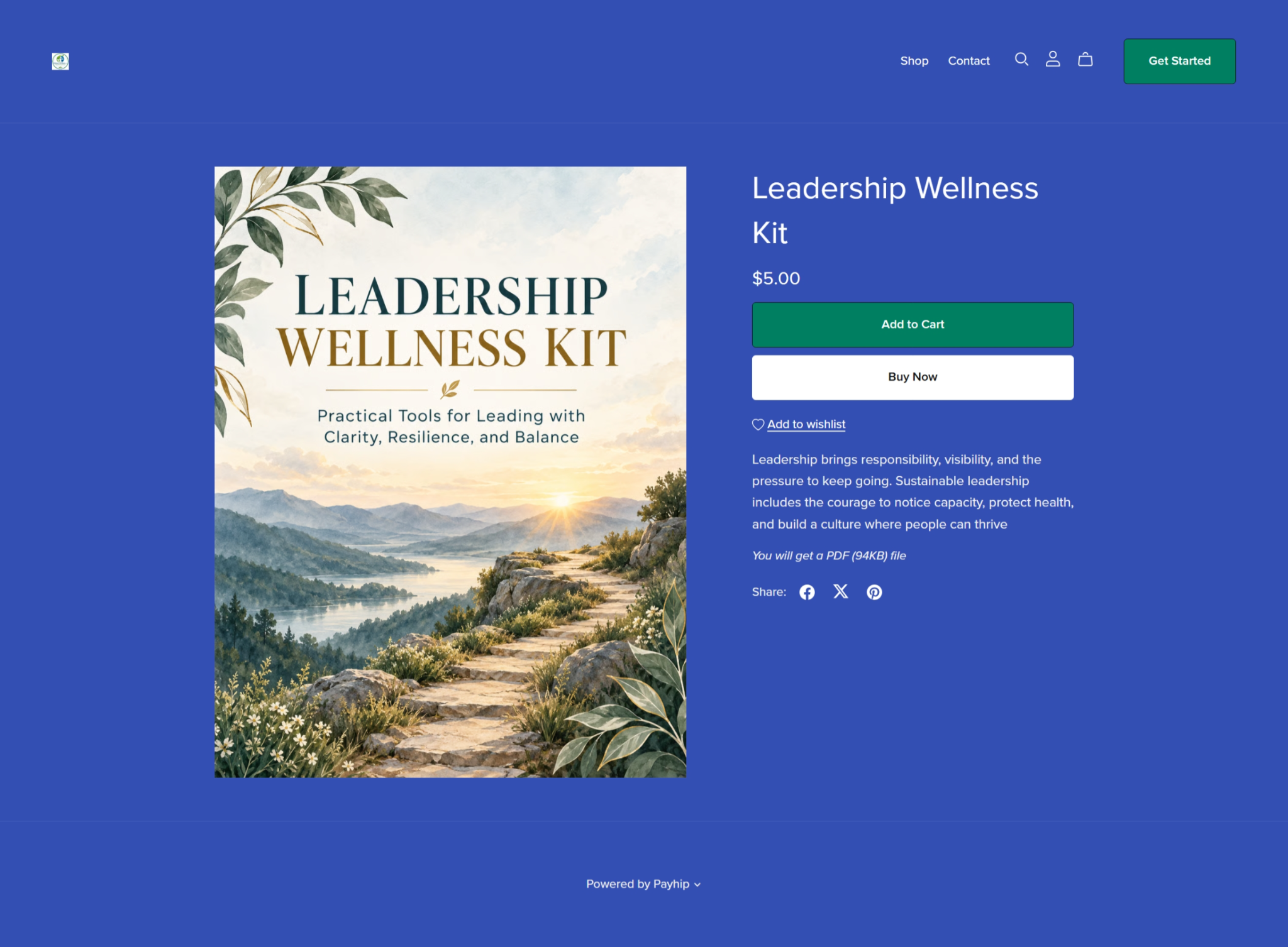 Leadership Wellness Kit